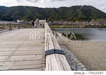 山口県岩国市　春の錦帯橋を渡る 77013207