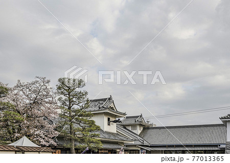 太秦映画村 綱渡りする忍者ロボの写真素材