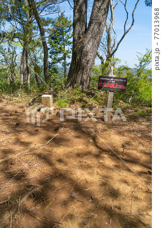 大丸山の山頂(巣雲山ハイキングコース) 大丸山の山頂(巣雲山ハイキングコース) 77013968