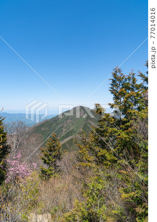 子持山の山頂から見た武甲山（奥武蔵） 77014016