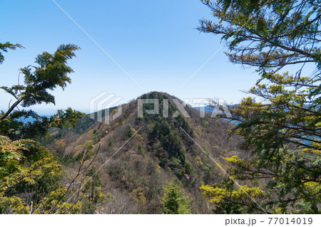 大持山から子持山へ向かう登山道から見た大持山（奥武蔵） 77014019