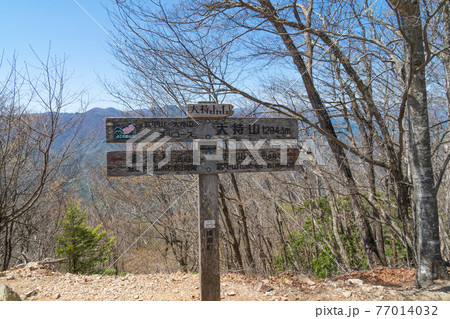 大持山の山頂（奥武蔵） 77014032