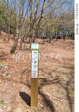ウノタワ（奥武蔵の大持山・子持山） 77014038