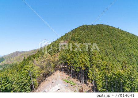 鳥首峠からウノタワへ向かう登山道の景色（奥武蔵の大持山・子持山） 77014041