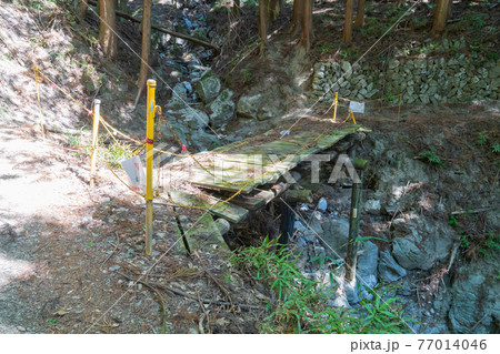 鳥首峠へ向かう登山道の木橋（奥武蔵の大持山・子持山） 77014046