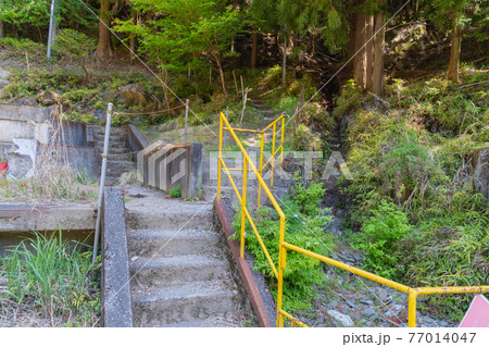 奥武蔵の大持山・子持山の登山口（鳥首峠側） 77014047