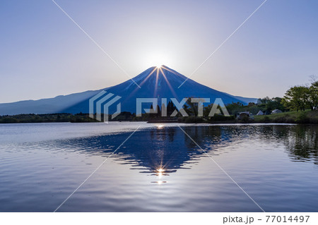 （静岡県）田貫湖のダイヤモンド富士 77014497