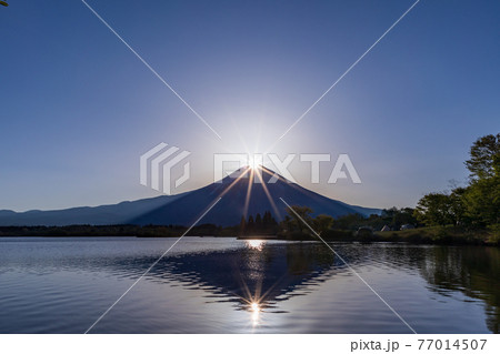 （静岡県）田貫湖のダイヤモンド富士 77014507