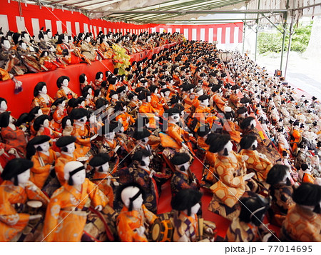 素戔嗚神社　雛まつり　 77014695