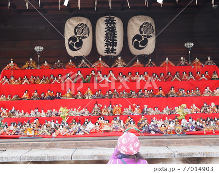 素戔嗚神社 雛まつり 素戔嗚神社 雛まつり 77014903