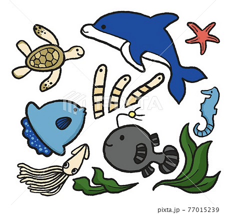 海洋生物のイラストセットのイラスト素材