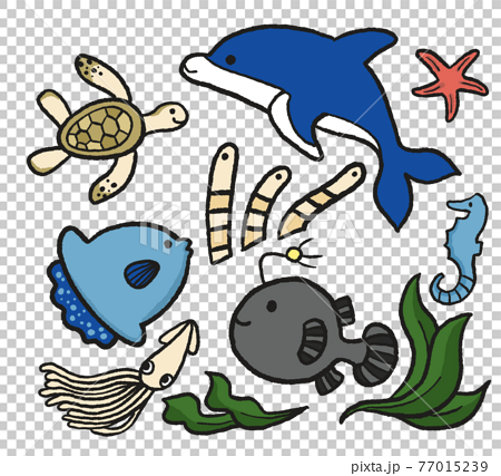 海洋生物のイラストセットのイラスト素材