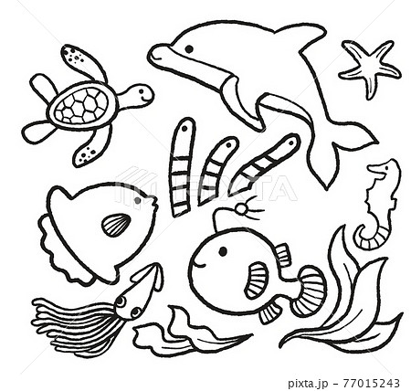 海洋生物の線画イラストセットのイラスト素材