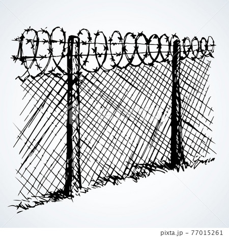 Barbed wire. Vector drawing Barbed wire. Vector drawing 77015261