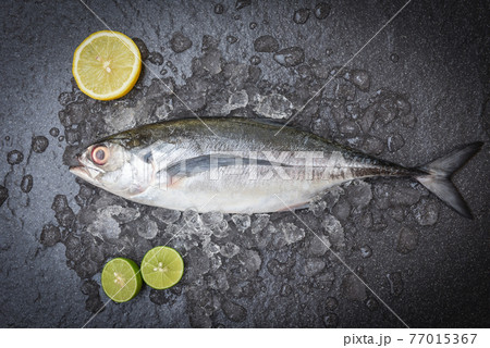 Fish on ice for cooking food in the restaurant, Fresh fish raw torpedo scad with lemon, mackerel scad top view 77015367