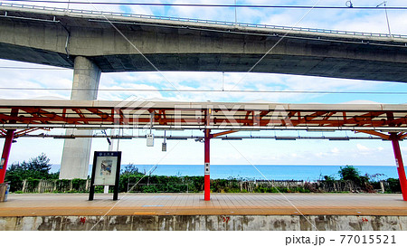 台湾 海 大洋 77015521