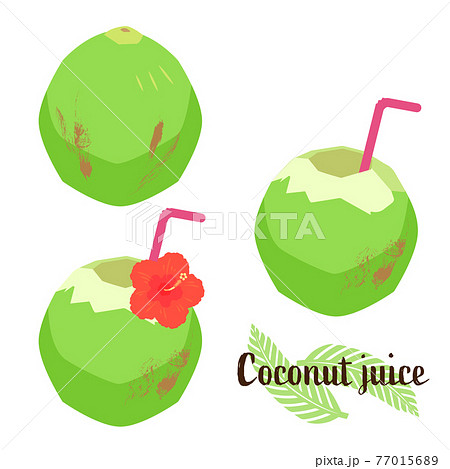 ココナッツジュースとヤシの実のイラストのイラスト素材