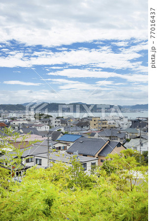 長谷寺　見晴台からの風景 77016437