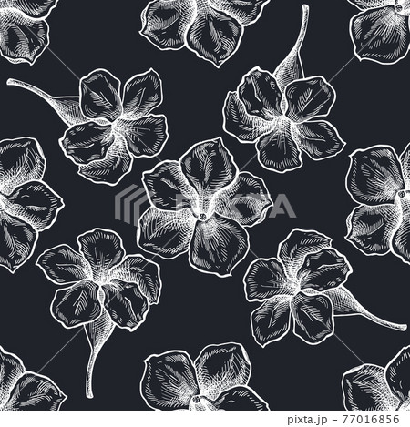 Seamless pattern with hand drawn chalk allamanda 77016856