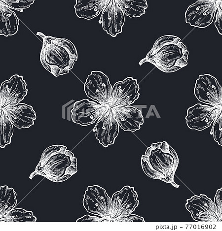 Seamless pattern with hand drawn chalk peach flowers Seamless pattern with hand drawn chalk peach flowers 77016902