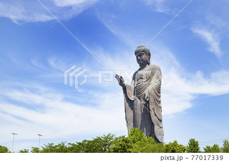 牛久阿弥陀大仏 77017339