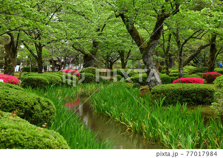 兼六園より 兼六園より 77017984