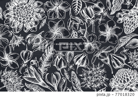 Floral design with chalk plumeria, allamanda, clerodendrum, champak, etlingera, ixora 77018320