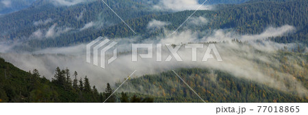 Carpathian mountains panorama Carpathian mountains panorama 77018865