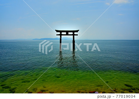 白髭神社大鳥居 77019034