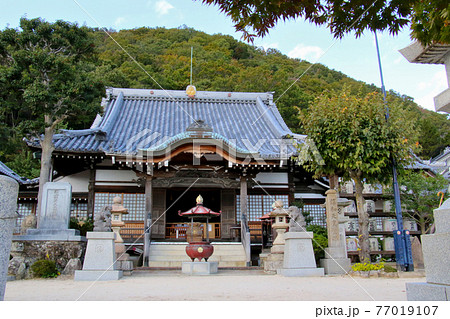 甲山の南側の山麓に位置する甲山大師神呪寺の本殿　手前の木々と国旗掲揚柱を入れ地面も多く真正面から撮影 77019107