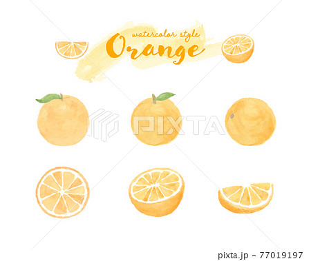 オレンジの水彩イラストのセット 断面 みかん 果物 フルーツ 柑橘類 フレッシュ かわいいのイラスト素材