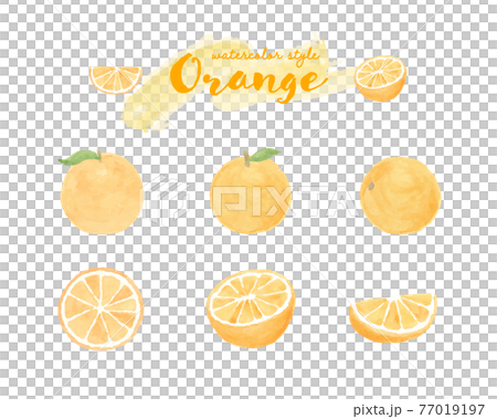 オレンジの水彩イラストのセット　断面　みかん　果物　フルーツ　柑橘類　フレッシュ　かわいい 77019197