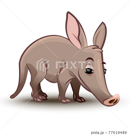 Aardvark vector illustration. A cartoon illustration of a aardvark. Aardvark vector illustration. A cartoon illustration of a aardvark. 77019489