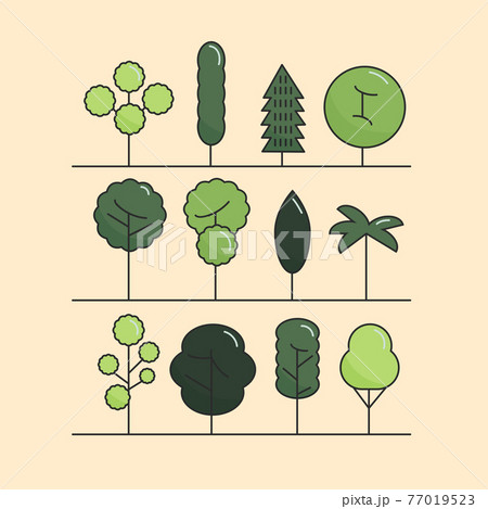 Modern flat trees set. Vector tree icons set, tree symbols. 77019523