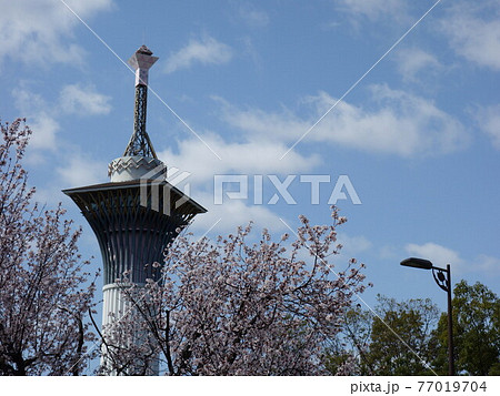 いのちの塔と桜 いのちの塔と桜 77019704