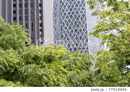 新緑と高層ビルの都市風景 77019940