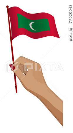 Female hand gently holds small Maldives flag. Holiday design element. Cartoon vector on white background