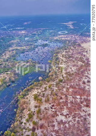 Okavango Delta, Okavango Wetland, Botswana 77020795