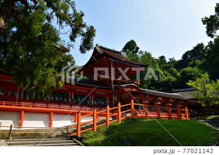 春日大社より 77021142