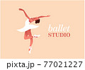 Beauty of classic ballet flat vector set 77021227