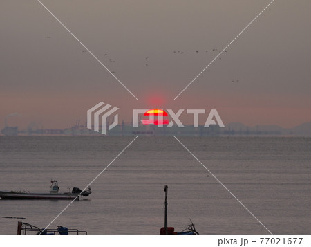 日没 海 倍 77021677