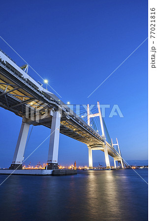 大黒ふ頭より望むライトアップされた横浜ベイブリッジ 77021816
