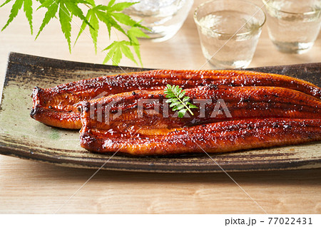 鰻の蒲焼 鰻の蒲焼 77022431