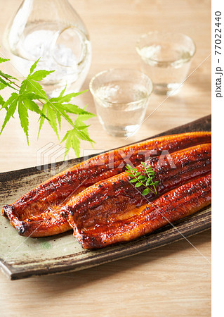 鰻の蒲焼 鰻の蒲焼 77022440