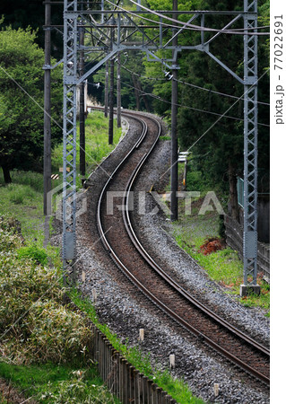 新緑の森の中を蛇行する鉄道の線路の写真素材 [77022691] - PIXTA