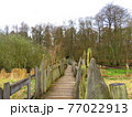 森への橋 77022913