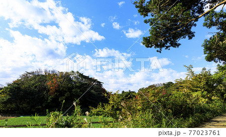 神奈川県三浦市の畑 神奈川県三浦市の畑 77023761