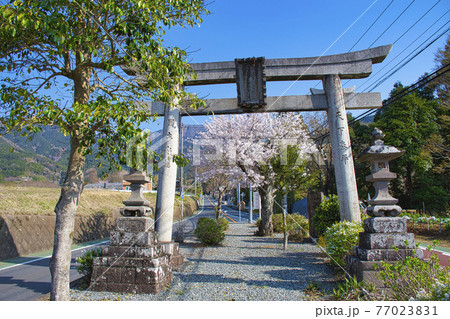 【秦野市】小蓑毛の鳥居 77023831