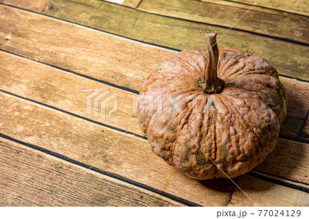 Pumpkin on wooden floor background Pumpkin Mini Tientsin Pakchoi Pumpkin on white background Organic system Pumpkin on wooden floor background Pumpkin Mini Tientsin Pakchoi Pumpkin on white background Organic system 77024129