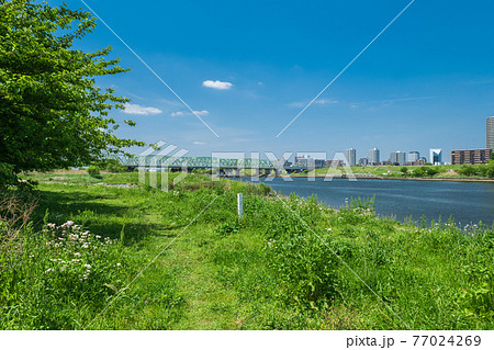 青空広がる初夏の荒川と川口市の風景 青空広がる初夏の荒川と川口市の風景 77024269